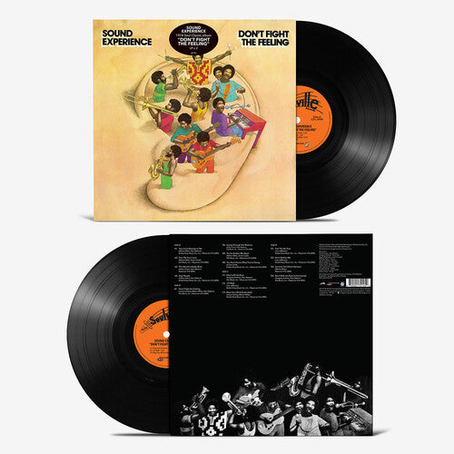 Sound Experience - Don't Fight the Feeling - LP