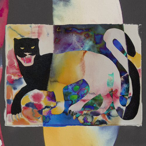 PRE-ORDER: Holland Andrews + Methods Body "Remain" LP