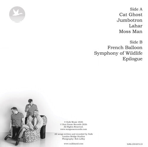 PRE-ORDER: Sulk "In the Shadow" LP (Half Black Half White Vinyl)