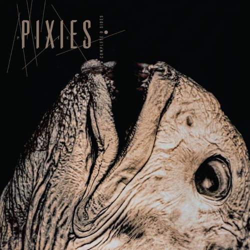 Pixies "Complete B Sides 1988-97 remaster" 2xLP (Black Vinyl)