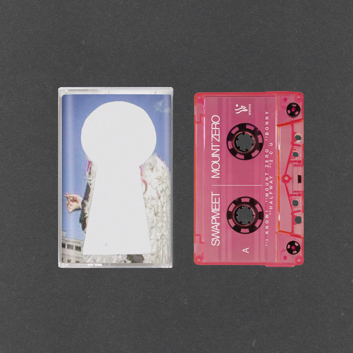 PRE-ORDER: Swapmeet "Mount Zero" Cassette