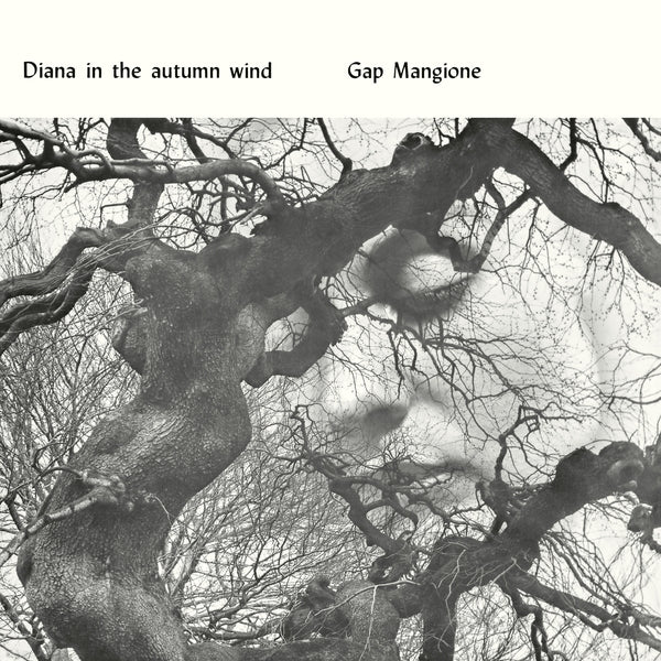 Gap Mangione "Diana In The Autumn Wind" LP
