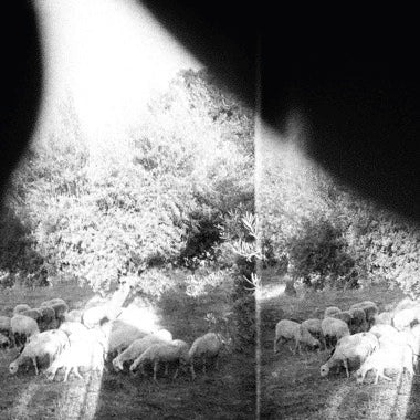 Godspeed You Black Emperor! "Asunder, Sweet And Other Distress" LP