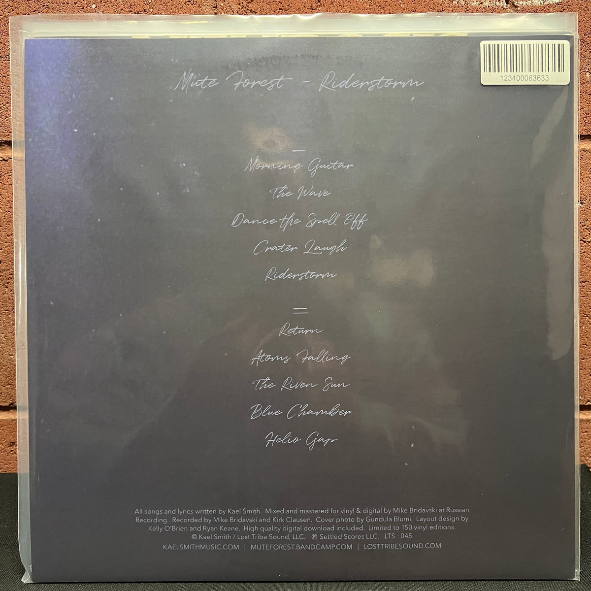 Used Vinyl: Mute Forest "Riderstorm" LP (2020 Press)