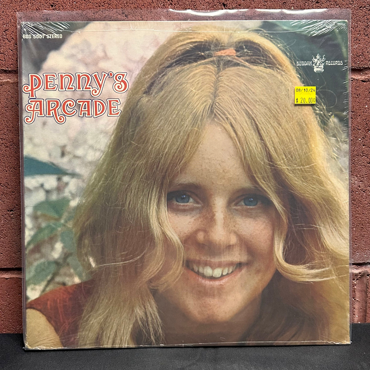 Used Vinyl: Penny Nichols "Penny's Arcade" LP