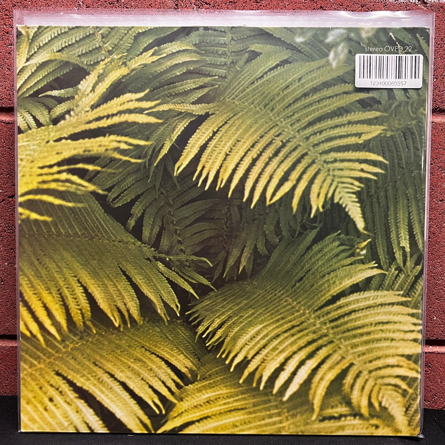 Used Vinyl: Edgar Froese "Epsilon in Malaysian Pale" LP (70's or 80's UK pressing)