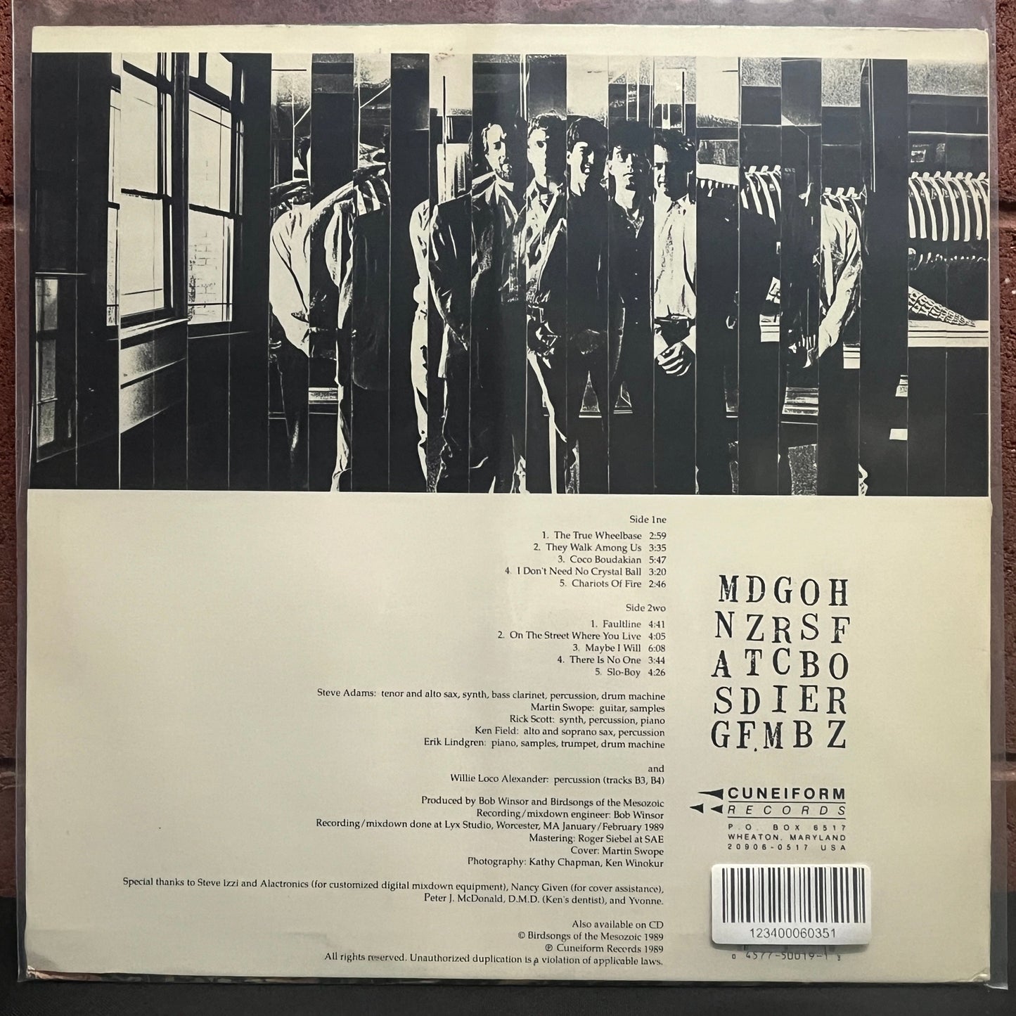 Used Vinyl: Birdsongs of the Mesozoic "Faultline" LP