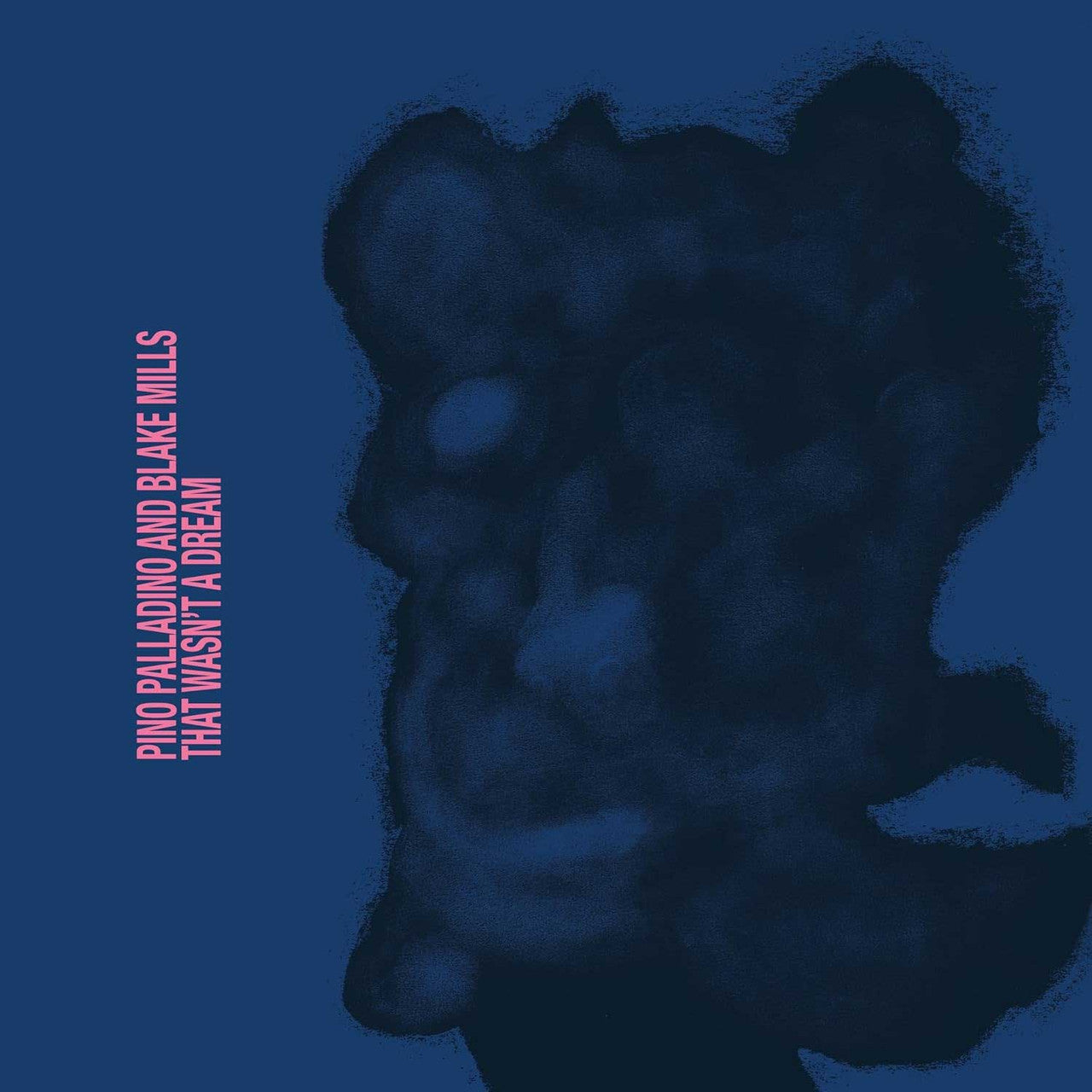 Pino Palladino & Blake Mills - That Wasn't a Dream - LP