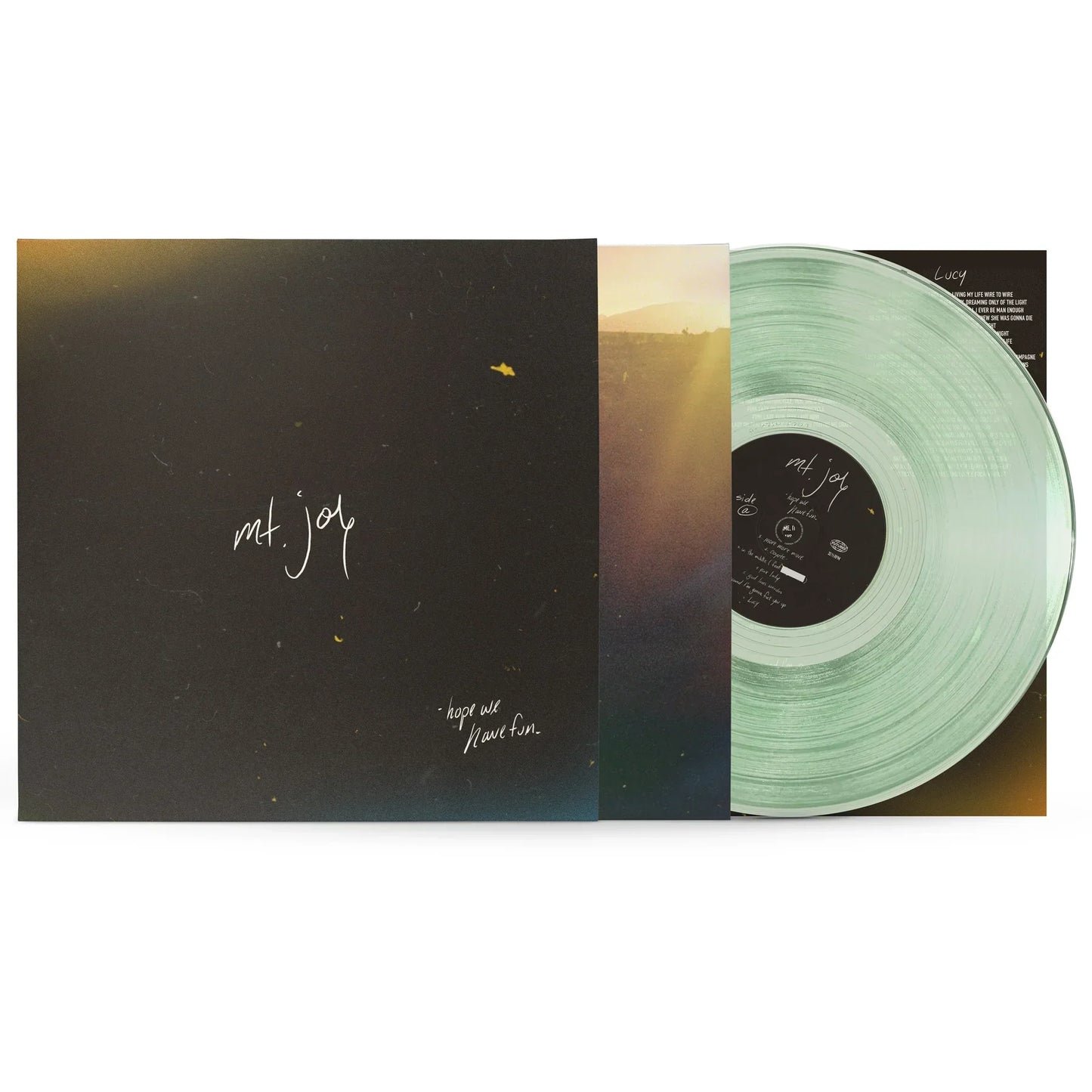 Mt. Joy - Hope We Have Fun - Indie LP