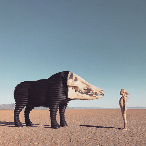 Man Man - Dream Hunting In The Valley Of The In-Between - LP