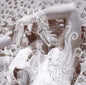Bjork "Vespertine" LP