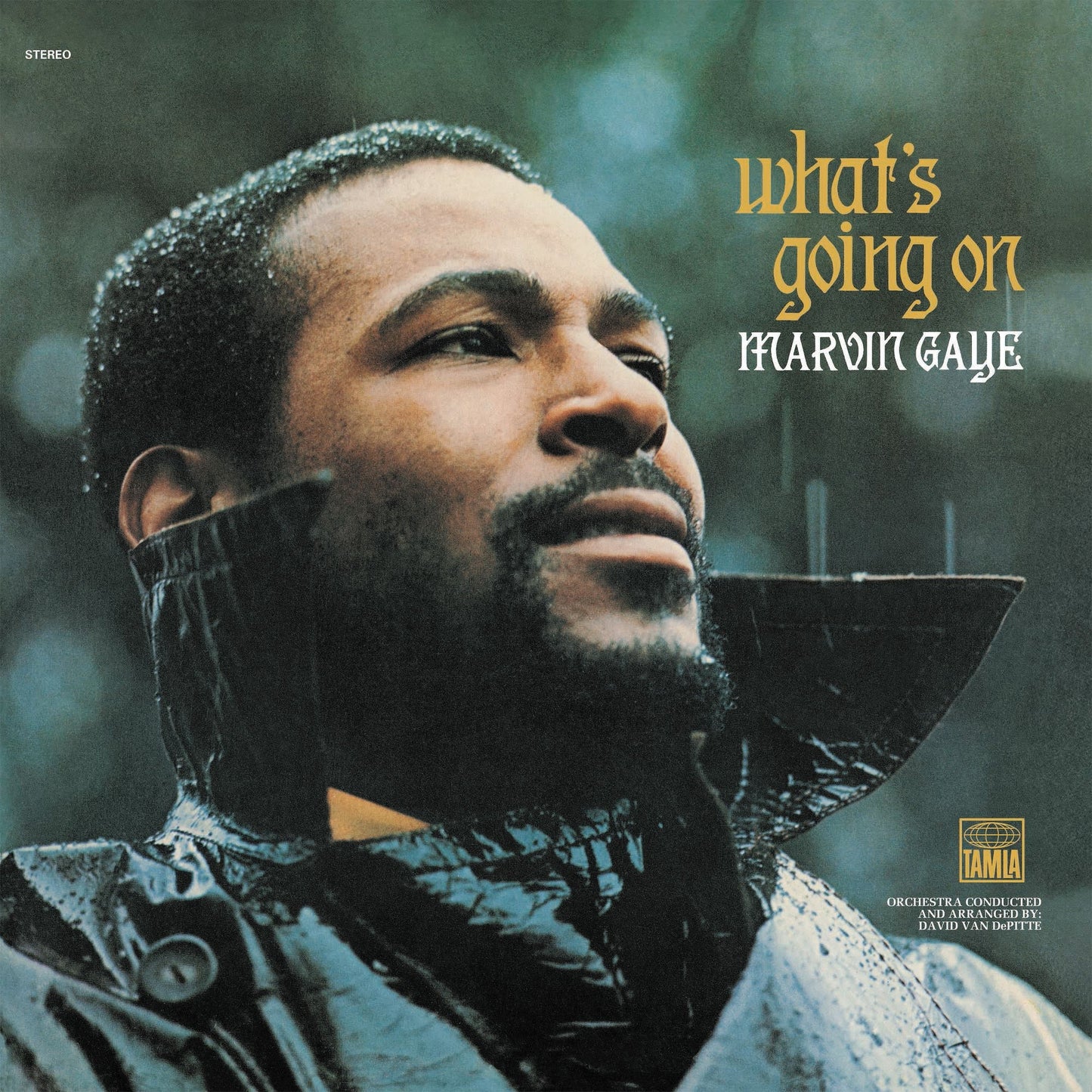 Marvin Gaye - What's Going On (50th Anniversary) - LP