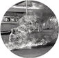 Rage Against the Machine "Rage Against The Machine" LP (Picture Disc)