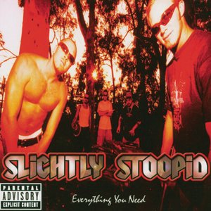 Slightly Stoopid/Everything You Need (Orange & Yellow Galaxy Vinyl) [LP]