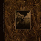 Pixies - Come On Pilgrim... It's Surfer Rosa - LP