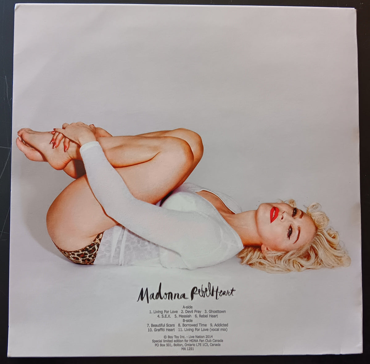 [Used LP] Madonna / Rebel Heart [Picture Disc]