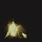 Wolf Alice - My Love Is Cool - LP