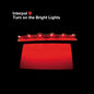 Interpol/Turn on the Bright Lights [LP]