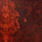 True Widow/Avvolgere [LP]