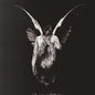 Underoath/Erase Me [LP]