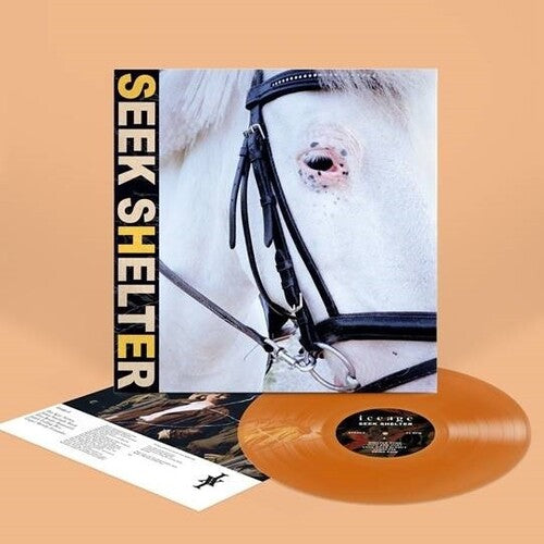 Iceage "Seek Shelter" LP (Orange Vinyl)