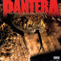 Pantera - The Great Southern Trendkill - LP