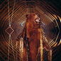 My Morning Jacket - It Still Moves - LP