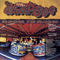 The Waterboys - Room To Roam - LP