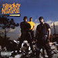 Naughty By Nature -  Naughty By Nature (30th Anniversary) - LP