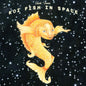 Jack Irons - Koi Fish in Space - LP