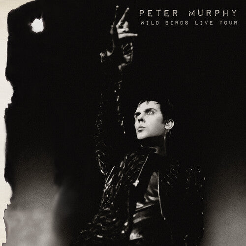 Peter Murphy - Wild Birds Live Tour - LP