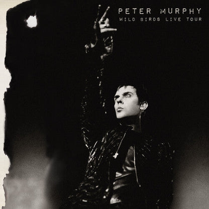 Peter Murphy - Wild Birds Live Tour - LP