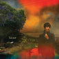 Van Etten, Sharon/We've Been Going About This All Wrong (Marbled Smoke Vinyl) [LP]