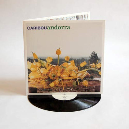 Caribou/Andorra [LP]