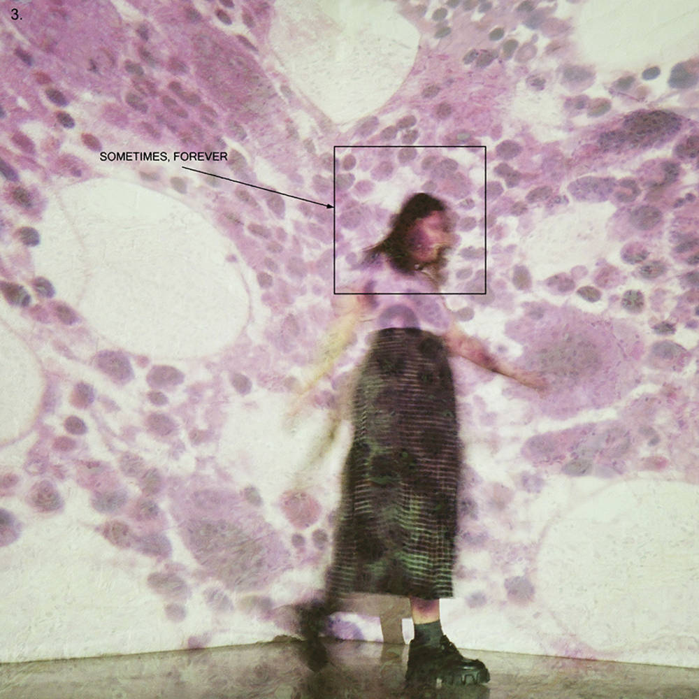 Soccer Mommy/Sometimes, Forever [LP]