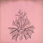 Tropical Fuck Storm & King Gizzard/Satanic Slumber Party (Pink Silkscreened Vinyl) [LP]