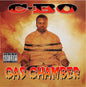 C-BO/Gas Chamber: 30th Anniversary [LP]