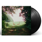 Ratboys/Singin' to an Empty Chair [LP]