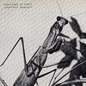 Barnett, Courtney/Creature of Habit (Indie Exclusive Caramel Vinyl) [LP]