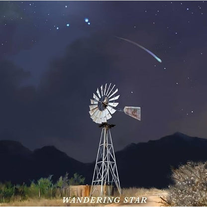 Flatland Cavalry - Wandering Star - LP