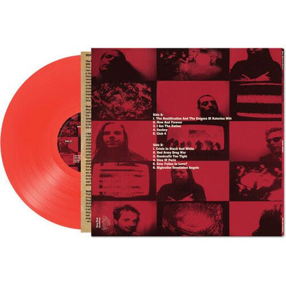 Social Unrest - Now and Forever - LP