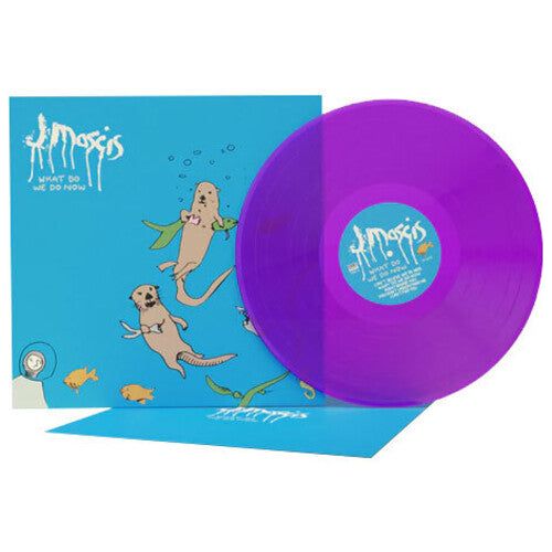 J Mascis - What Do We Do Now - LP