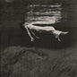 Evans, Bill & Jim Hall/Undercurrent [LP]