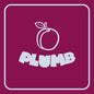 Ray Angry - Plumb [4LP Plum]