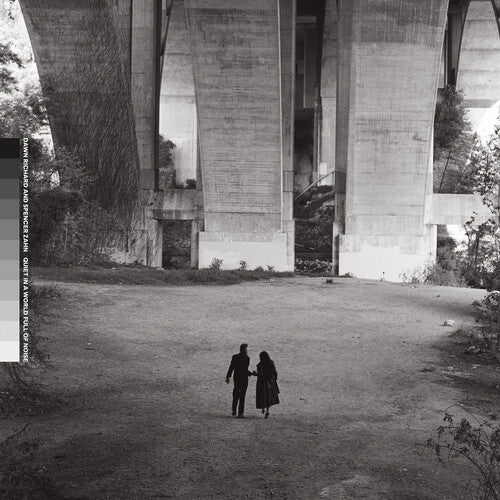Richard, Dawn & Spencer Zahn/Quiet In A World Full Of Noise [LP]