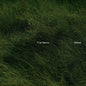 Necks, The/Bleed (Indie Exclusive Green Vinyl) [LP]