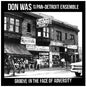 Don Was/Groove In The Face Of Adversity [LP]