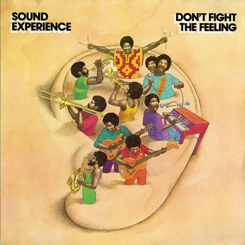 Sound Experience - Don't Fight the Feeling - LP