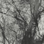 Grouper/Way Their Crept [LP]