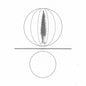 O'Malley, Stephen/Spheres Collapser [LP]